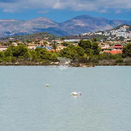 Sabater - Costablancadreams * Кальпе